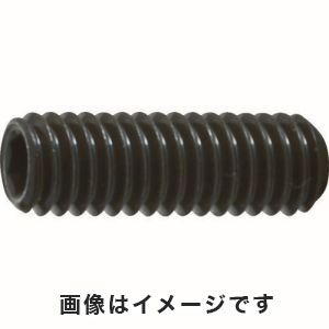 トラスコ中山 TRUSCO 六角穴付き止めネジ 平先 スチール M4×5 80本入 B63-0405