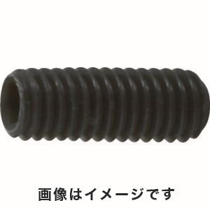 トラスコ中山 TRUSCO 六角穴付き止めネジ 平先 スチール M3×6 80本入 B63-0306