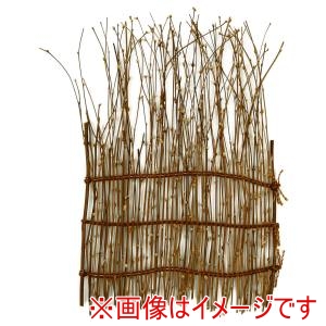 萬洋 MANYO 萬洋 51-400 萩スダレ 大