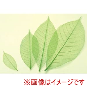 萬洋 MANYO 萬洋 18-789C カラースカシ木の葉 緑 約16cm 50入