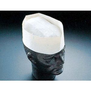 パル Pal パル  無地 A95000 100枚入 