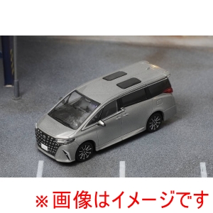 ホビージャパン ホビージャパン LL-041-185 DIE CAST TEAM 1/64 Toyota Alphard 2024 LHD グレー
