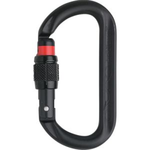 オーストリアルピン AUSTRIALPIN ALPIN KA11B-X-GI カラビナ OVALO スクリューロック 線径12.5 ブラック オーストリアルピン
